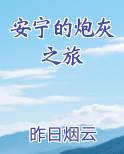 安宁的炮灰之旅