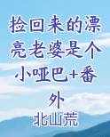 捡回来的漂亮老婆是个小哑巴+番外