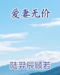 爱妻什么意思