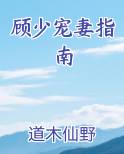 顾少的宠妻指南
