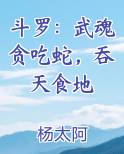 武魂是吞噬武魂的小说