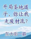 开局圣地道子,你让我走废材流?作者