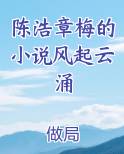 陈浩章梅的小说风起云涌