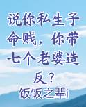 说你私生子命贱，你带七个老婆造反？