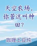 天空农场，你管这叫种田？在线阅读全文