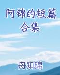 阿锦by