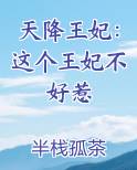 天降王妃：这个王妃不好惹