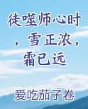 徒噬师心时，雪正浓，霜已远