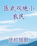 医武双绝小农民