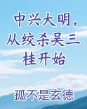 中兴大明，从绞杀吴三桂开始