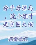 分手后掉马，沈小姐才是京圈大佬