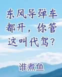 东风导弹车都开，你管这叫代驾？小说全文免费阅读