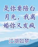 是你要陪白月光，我离婚你又发疯